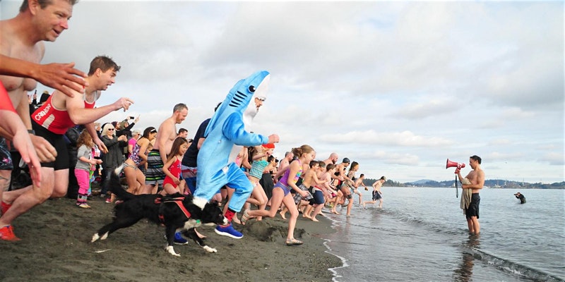 polar-bear-swim.jpg