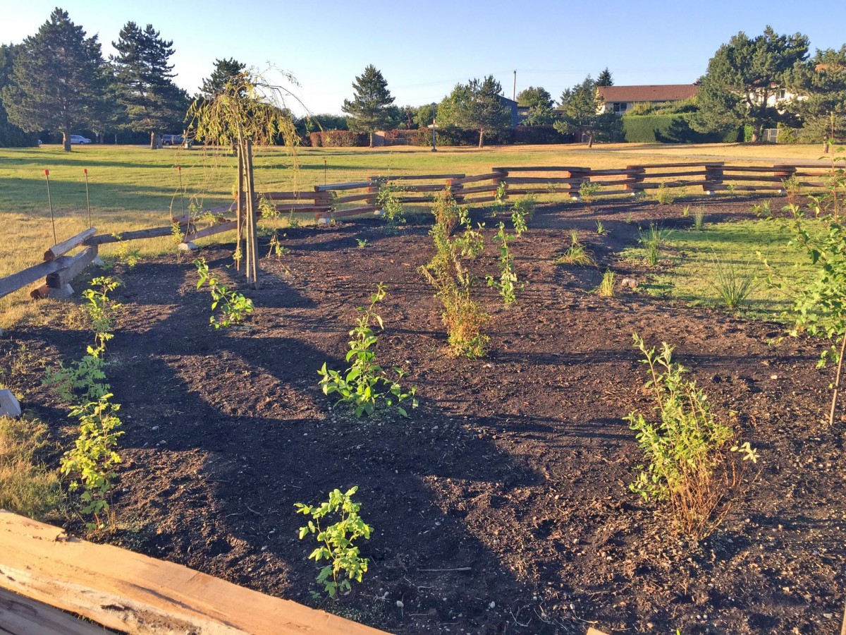 Colwood Creek Park Spray n Play now open! The City of Colwood