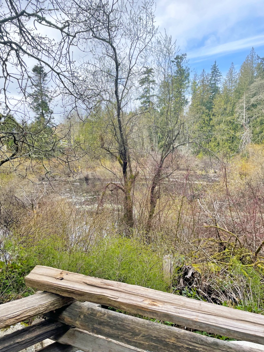 Discover the new trail at Murray's Pond Park The City of Colwood