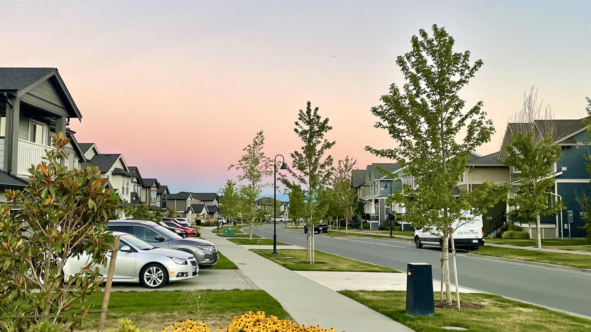 royal bay street - subdivision servicing
