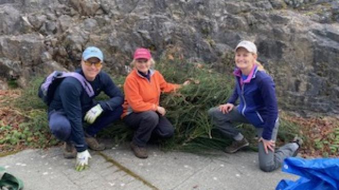 parks volunteers