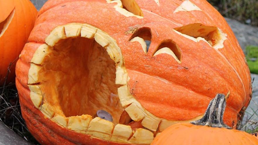 Pumpkin carving of a grouchy face. The pumpkin is bright orange.