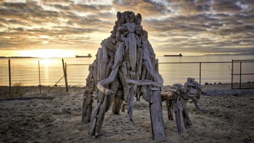 Mammoth sculptures in sandy area. The sun is setting in the background.