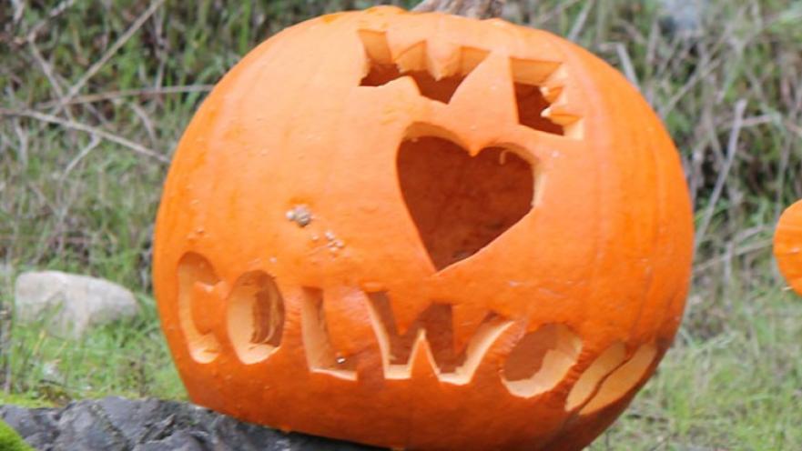 Pumpkin carving with the words "We love Colwood" carved on it. The pumpkin is bright orange.