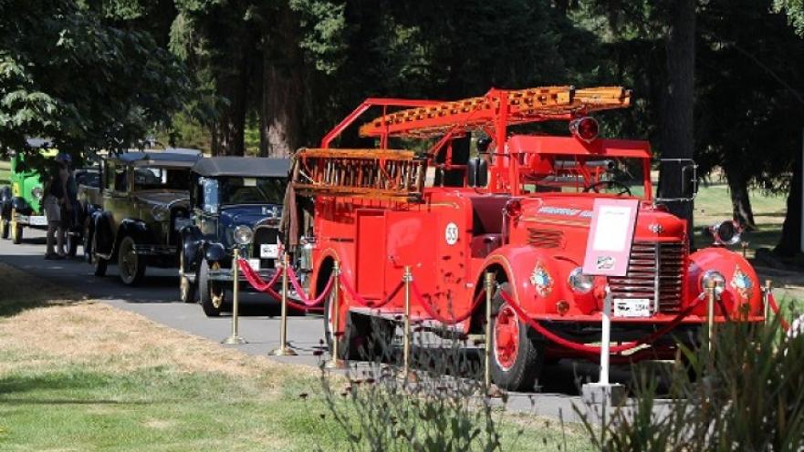 Row of vintage vehicles. There is a vintage firetruck in front of the row of vehicles.
