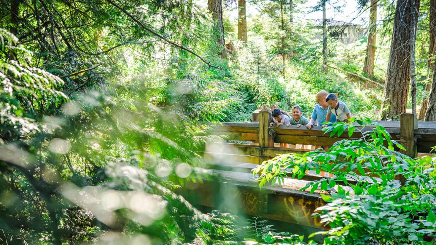 latoria creek park bridge