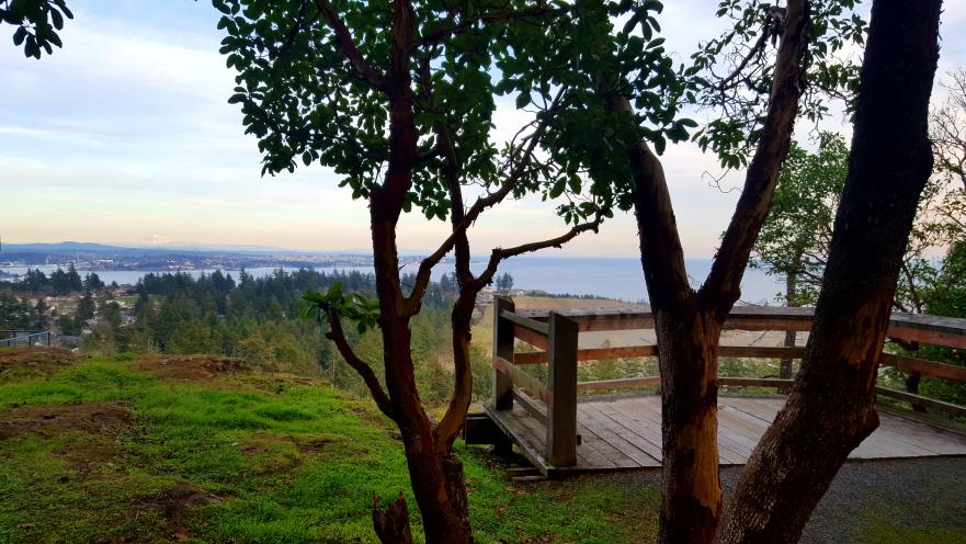 outlook park viewpoint