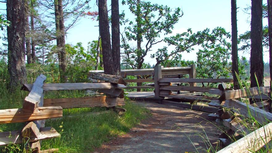 trail in promenade park
