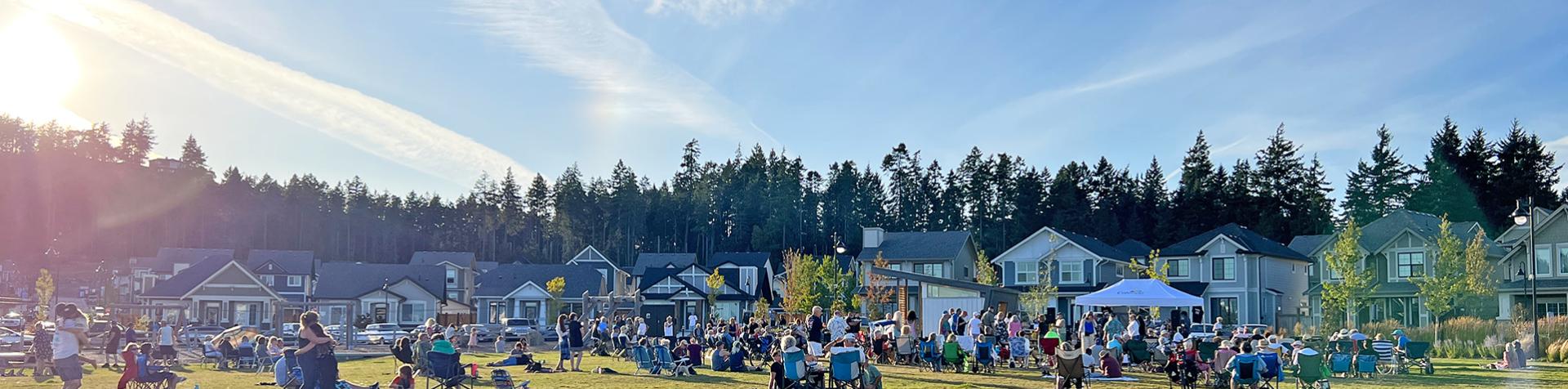 people enjoying music in the park