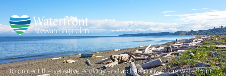 image of the lagoon beach with text waterfront stewardship plan to protect the sensitive ecology and archaeology of the waterfront