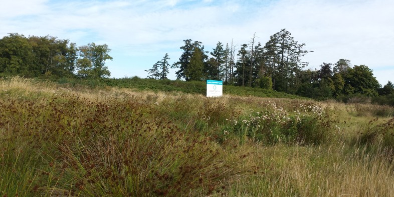 lagoon west park with small shrubs and ocean grove sign