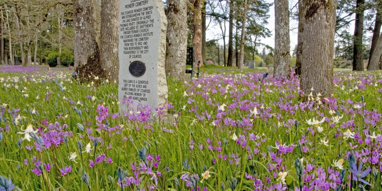 Pioneer Cemetery marker