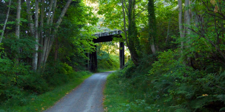 galloping goose trail through the woods under a bridge in colwood