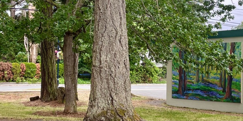 trees in a park with artwork on the wall