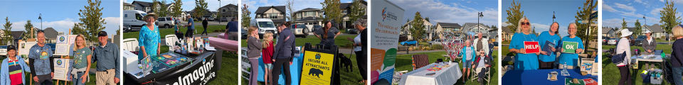 volunteers music in the park