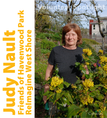 volunteer reimagine west shore