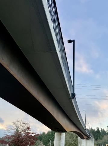 goose bridge angles and curves