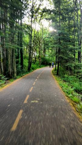 goose trail paved trees on either side