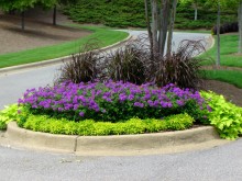 circular garden bed with purple flowers and plants with bright green leaves