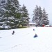 Families sledding at Colwood City Hall