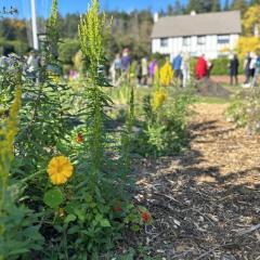 the farm kitchen garden at royal roads