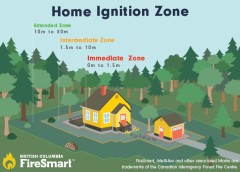 illustration of home ignition zone